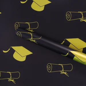 FJEjXqTX6694d5474a227_1721029959 PAPEL COREANO GRADUACION