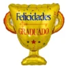 D_697601-MLA77431551414_072024-O GLOBOS GRADUACION GRANDES