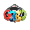 birrete grad GLOBOS GRADUACION GRANDES